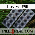 Lavest Pill 31